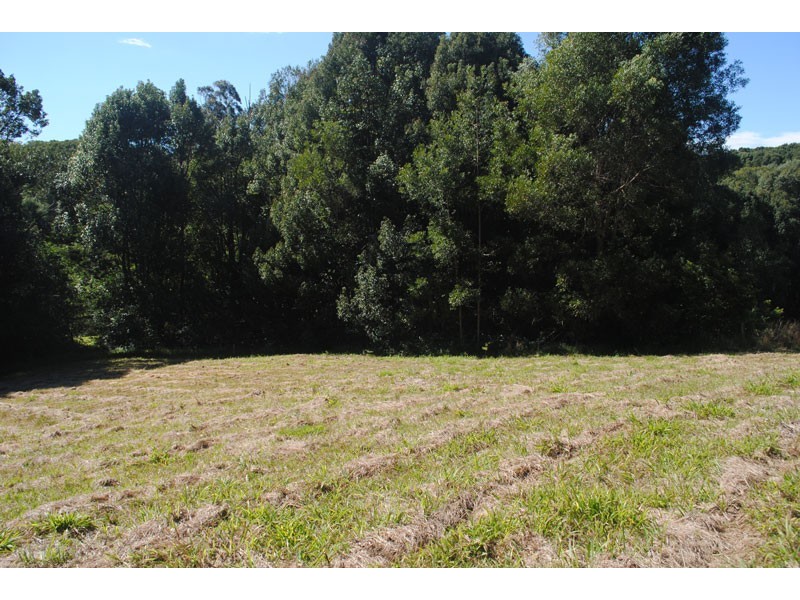 597 Friday Hut Road, Possum Creek NSW 2479
