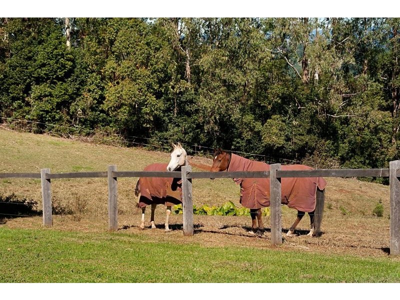 26 Bayview Drive, Goonengerry NSW 2482