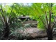 597 Friday Hut Road, Possum Creek NSW 2479