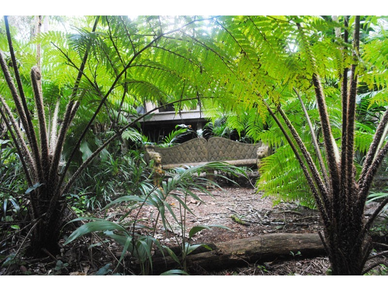 597 Friday Hut Road, Possum Creek NSW 2479