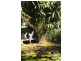 597 Friday Hut Road, Possum Creek NSW 2479