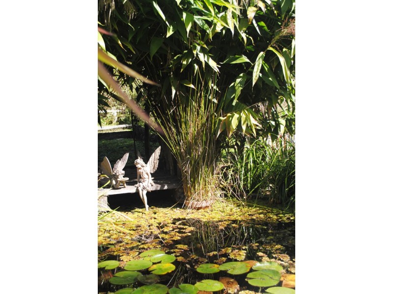 597 Friday Hut Road, Possum Creek NSW 2479
