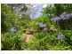 597 Friday Hut Road, Possum Creek NSW 2479