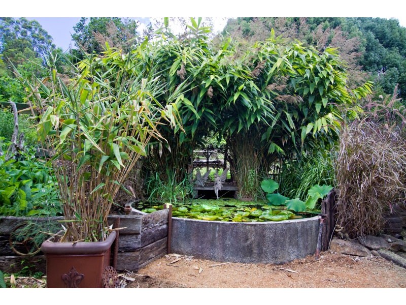 597 Friday Hut Road, Possum Creek NSW 2479