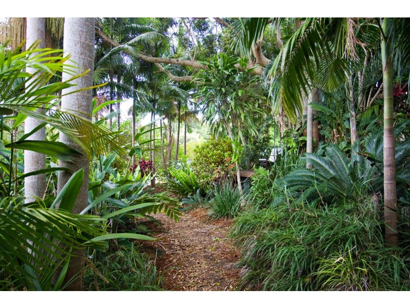 196 Friday Hut Road, Possum Creek NSW 2479