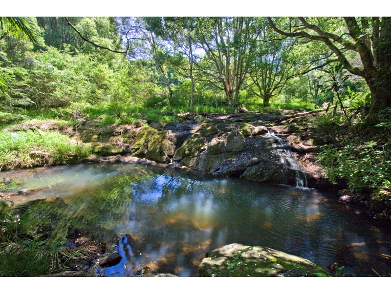 196 Friday Hut Road, Possum Creek NSW 2479