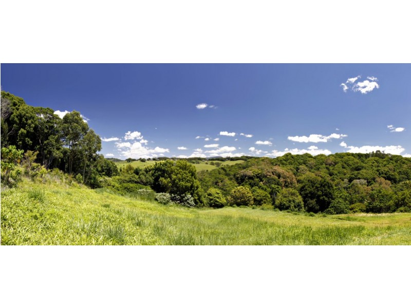 196 Friday Hut Road, Possum Creek NSW 2479