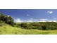 196 Friday Hut Road, Possum Creek NSW 2479