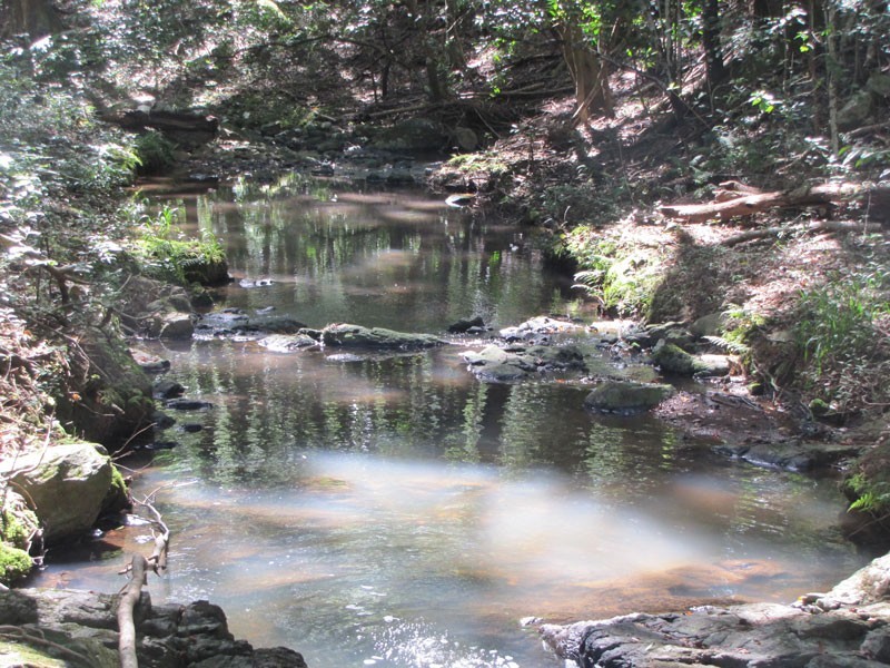 136 Newes Road, Coorabell NSW 2479