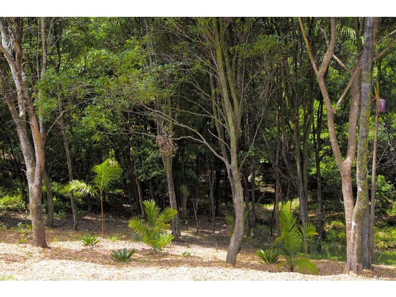 Lot 6 / 66 Natural Lane, Coopers Shoot NSW 2479