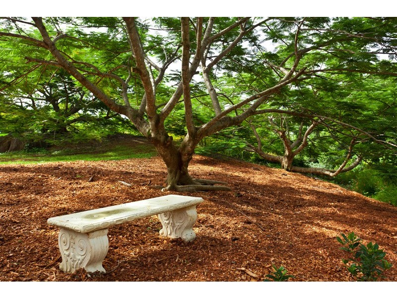 90 Lizray Road, Federal NSW 2480