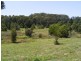 Lot 6 / 146 Old Bangalow Road, Byron Bay NSW 2481