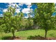 113 Stewarts Road, Nashua NSW 2479