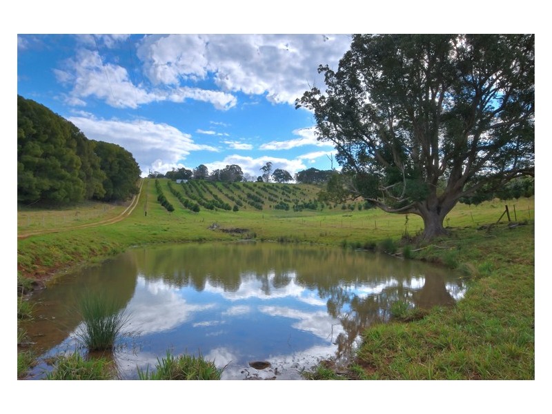 113 Stewarts Road, Nashua NSW 2479