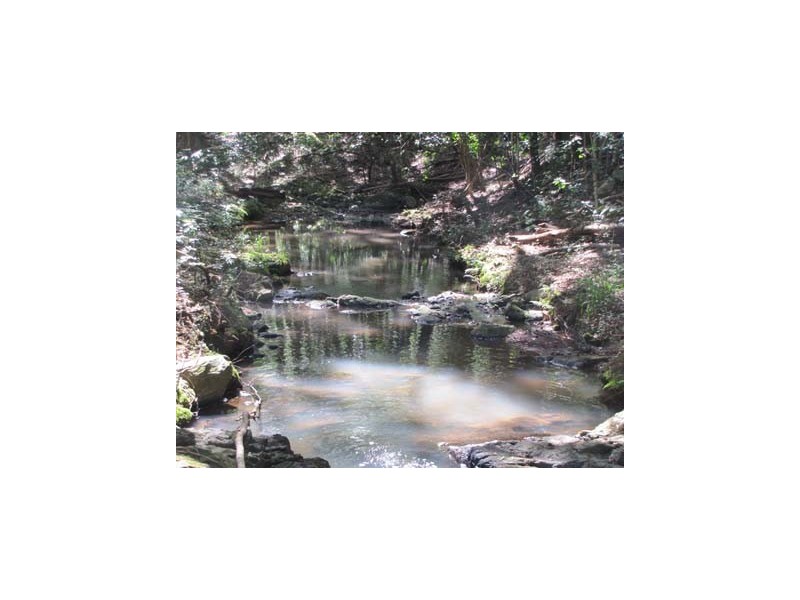 136 Newes Road, Coorabell NSW 2479