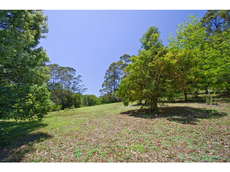 599 Friday Hut Road, Possum Creek NSW 2479