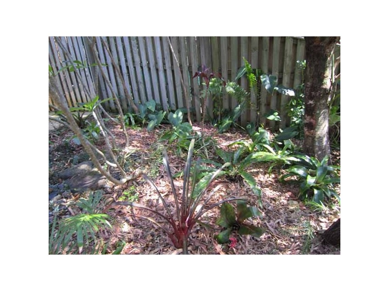 4/58 Armstrong Street, Suffolk Park NSW 2481