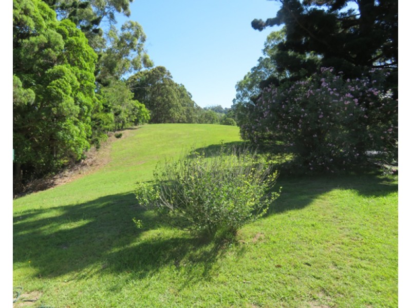 135 OLD BANGALOW ROAD, Byron Bay NSW 2481