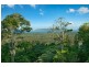 Lot 4 Grays Lane, Tyagarah NSW 2481