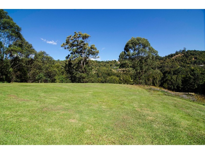 54 Alidenes Road, Wilsons Creek NSW 2482