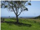 LOT 5 PACIFIC HWY, Mcleods Shoot NSW 2479