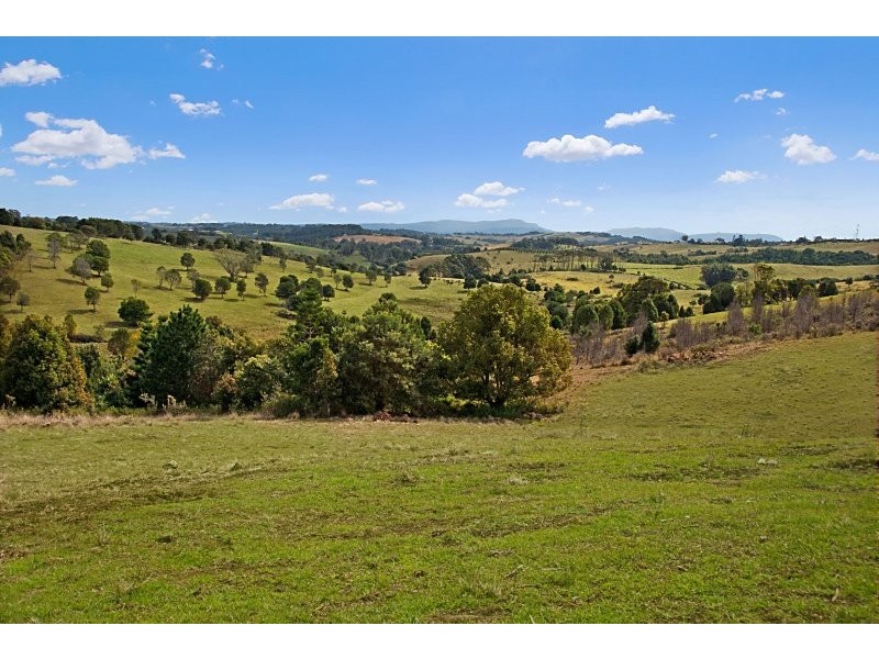 Lot 1 Prior Drive, Coopers Shoot NSW 2479