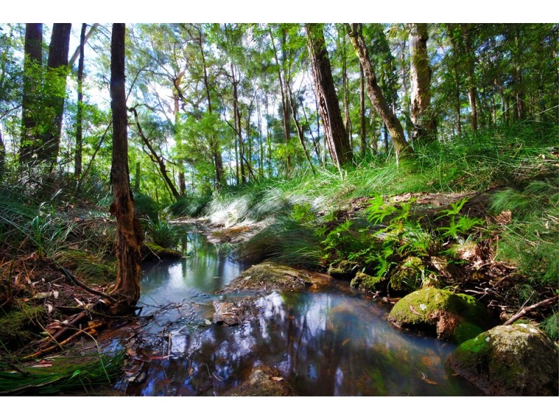 45 Blackbean Road, Wilsons Creek NSW 2482