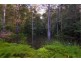 45 Blackbean Road, Wilsons Creek NSW 2482
