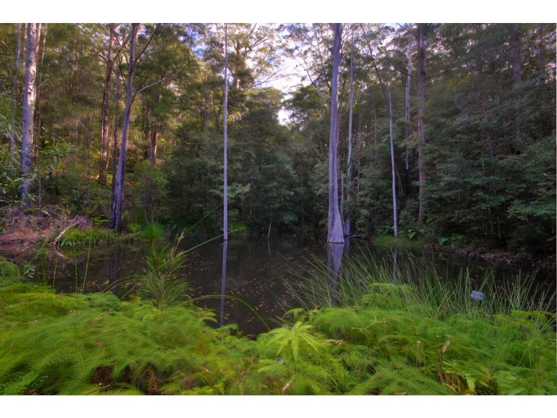 45 Blackbean Road, Wilsons Creek NSW 2482