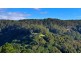 45 Blackbean Road, Wilsons Creek NSW 2482