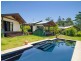 54 Alidenes Road, Wilsons Creek NSW 2482