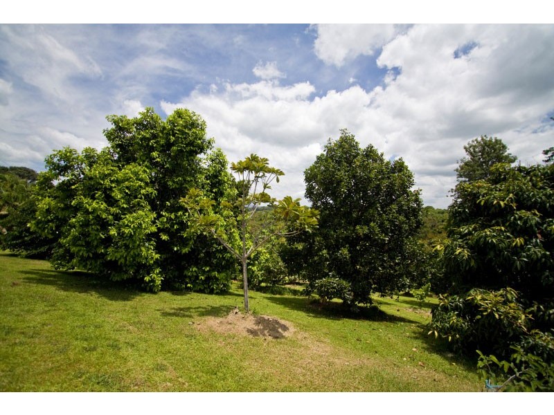 196 Friday Hut Road, Possum Creek NSW 2479