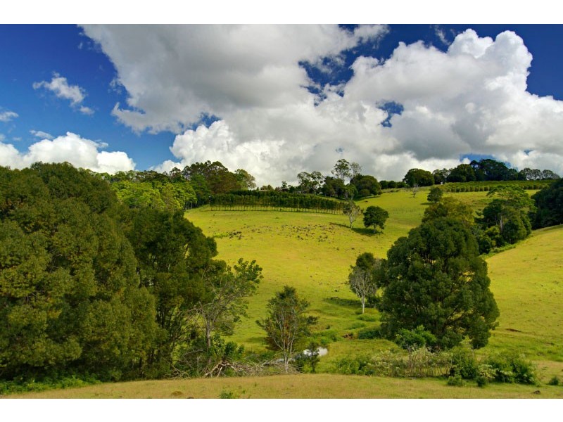 438 Rosebank Road, Rosebank NSW 2480