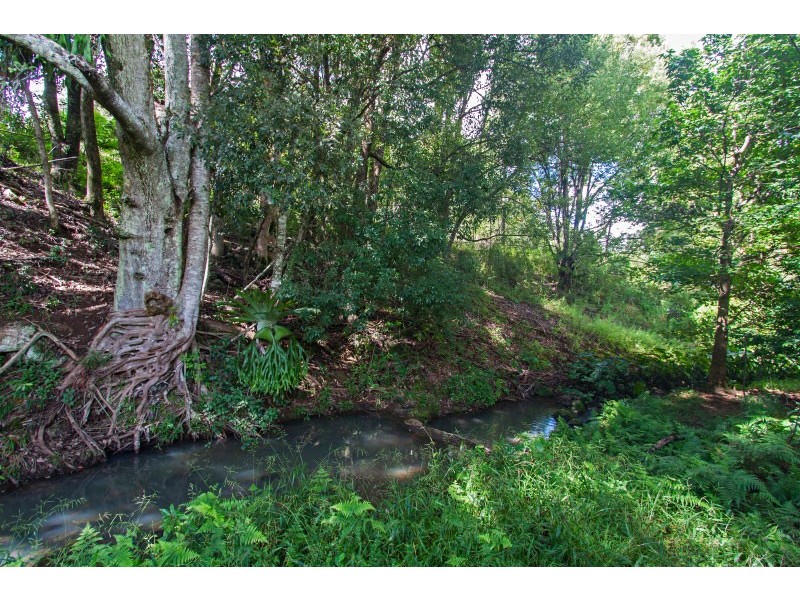 438 Rosebank Road, Rosebank NSW 2480