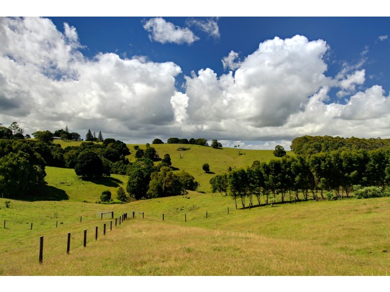 438 Rosebank Road, Rosebank NSW 2480