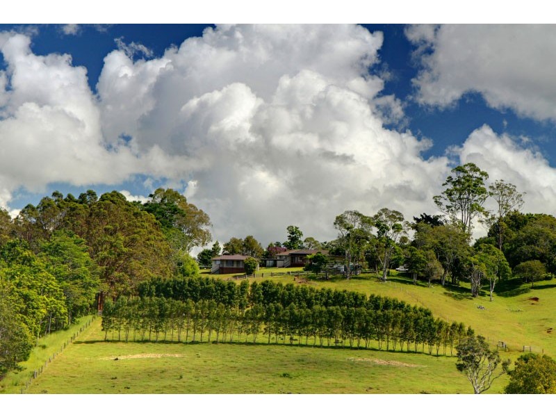 438 Rosebank Road, Rosebank NSW 2480