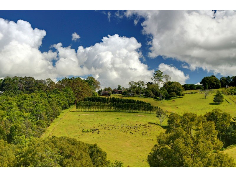 438 Rosebank Road, Rosebank NSW 2480