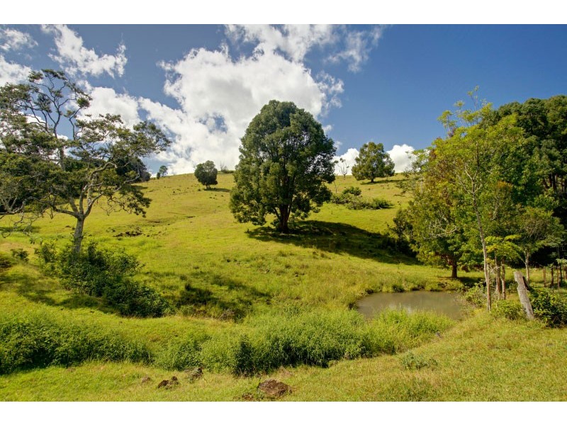 438 Rosebank Road, Rosebank NSW 2480