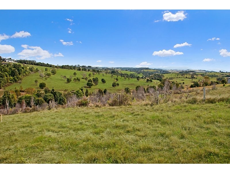Lot 1 Prior Drive, Coopers Shoot NSW 2479