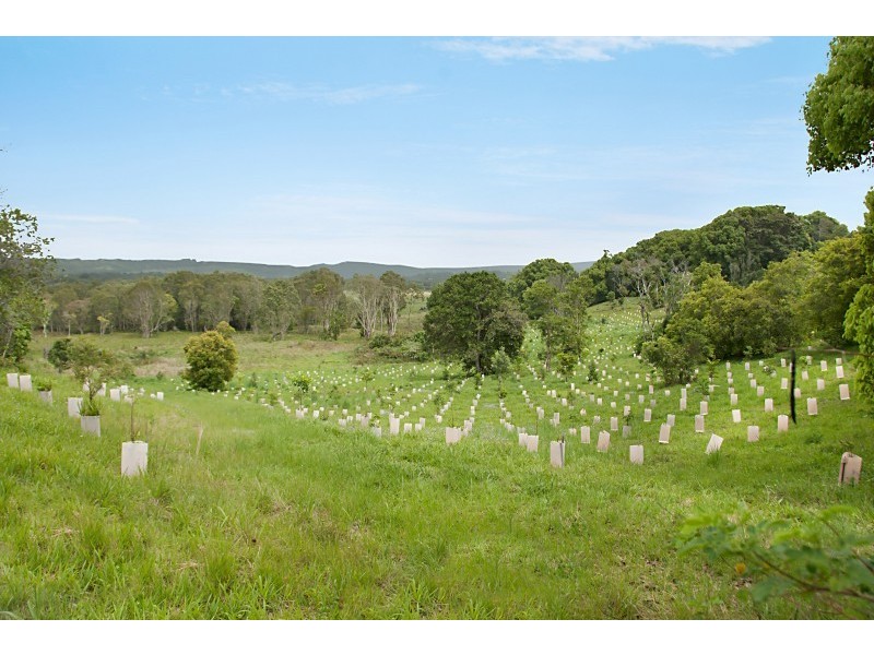 Lot 4 Grays Lane, Tyagarah NSW 2481