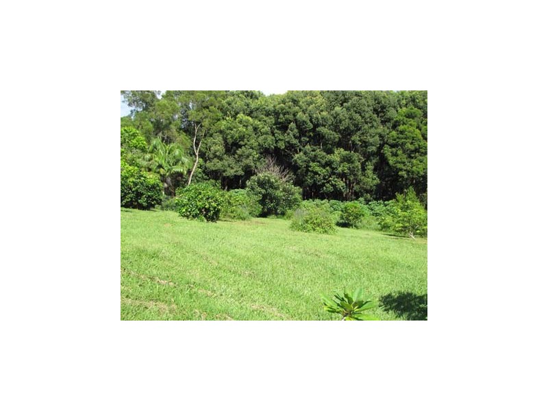 136 Newes Road, Coorabell NSW 2479