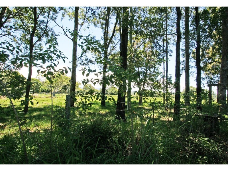 Lot 55 Fox’s Lane, Pacific Hwy, Tyagarah NSW 2481