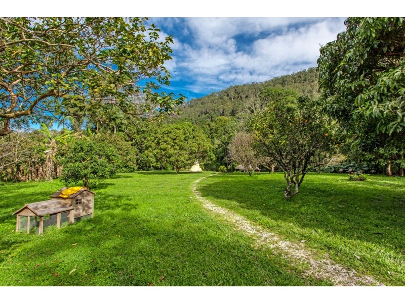 859 Wilsons Creek Road, Wilsons Creek NSW 2482