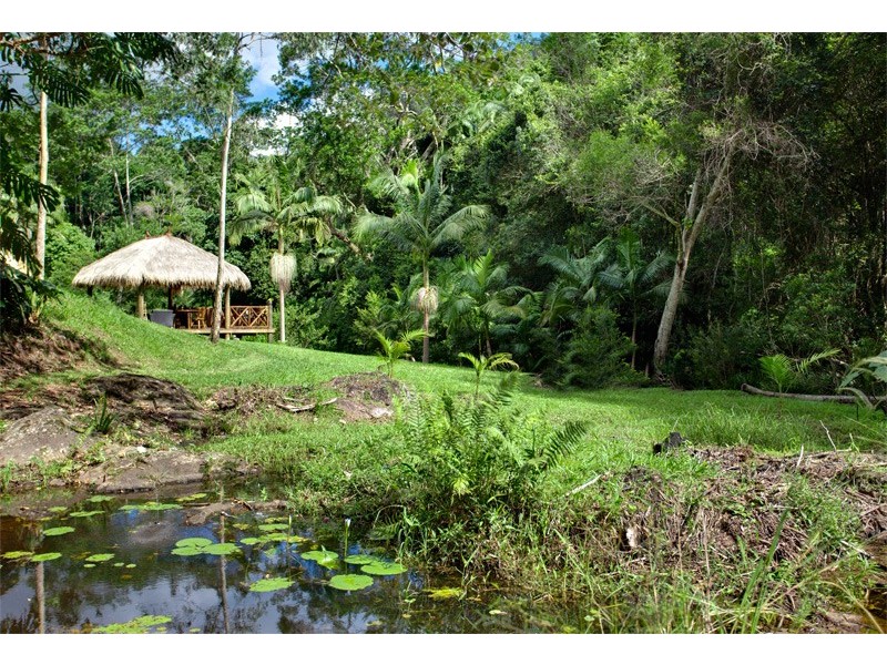 859 Wilsons Creek Road, Wilsons Creek NSW 2482