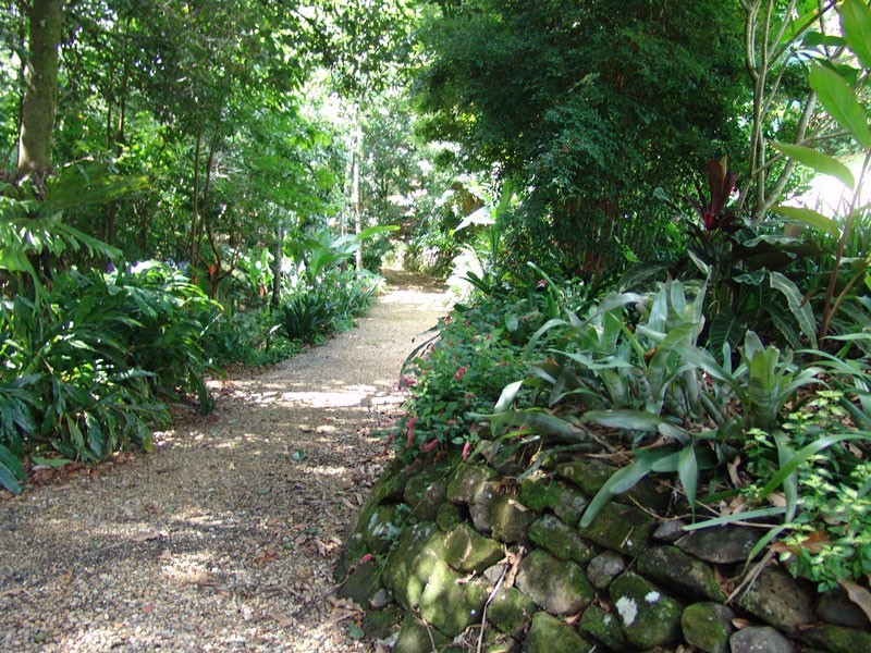 500 Rosebank Road, Rosebank NSW 2480