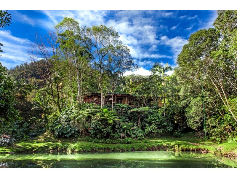 859 Wilsons Creek Road, Wilsons Creek NSW 2482