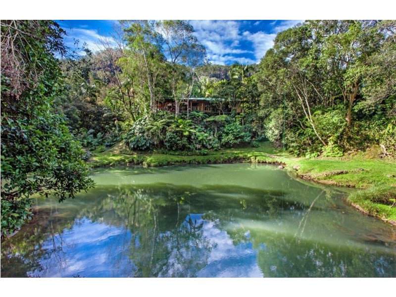859 Wilsons Creek Road, Wilsons Creek NSW 2482