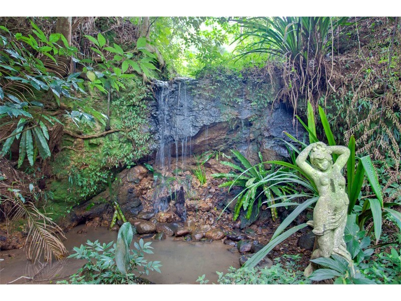 859 Wilsons Creek Road, Wilsons Creek NSW 2482