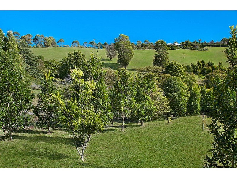 Lot 14, 278 Coopers Shoot Road, Coopers Shoot NSW 2479