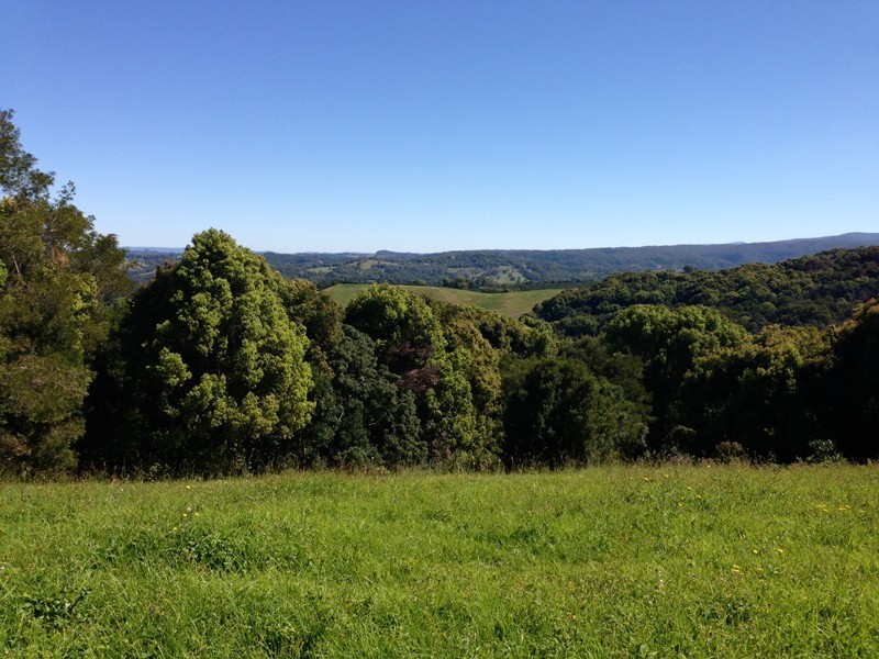 Lot 10 / 19 Teak Road, Federal NSW 2480